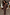 Thumbnail for Lucia Leopard Tilly Dress Petite
