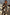 Thumbnail for caption_Model is 5ft7” and wears UK size 10/ US 6