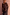 Thumbnail for Model wearing Mesh Dress in Tan Jaden Floral Print with long sleeves against a textured wall