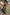 Thumbnail for Olive Sofia Dress