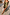 Thumbnail for Olive Sofia Dress