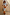 Thumbnail for Orange Acetate Visor Sunglasses