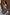 Thumbnail for Orange Acetate Visor Sunglasses
