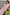 Thumbnail for caption_Model wears Pink Rib Knit Tilly Dress in Size S