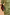 Thumbnail for caption_Model is 5ft7” and wears UK size 10/ US 6 