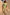 Thumbnail for caption_Model is 5ft7” and wears UK size 10/ US 6 