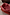 Thumbnail for Red Bandana Reversible Make Up Bag