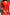 Thumbnail for Red Celestial Cardigan