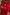 Thumbnail for Red Snake Love Rib Tank
