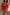 Thumbnail for Red Snake Love Rib Tank