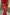 Thumbnail for Red Snake Print Dorris Skirt