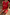 Thumbnail for Red Snake Love Rib Tank