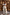 Thumbnail for caption_Model is 5ft7” and wears UK size 10/ US 6 