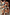 Thumbnail for caption_Model is 5ft8” and wears UK size 10/ US 6