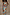 Thumbnail for caption_Model is 5ft8” and wears UK size 10/ US 6