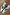 Thumbnail for Silver Wedge Mule