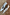 Thumbnail for Silver Wedge Mule