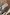 Thumbnail for Silver Wedge Mule