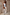 Thumbnail for caption_Model is 5ft4” and wears size M