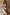 Thumbnail for caption_Model is 5ft4” and wears UK size 6/ US 2
