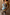 Thumbnail for caption_Model is 5ft4” and wears UK size 6/ US 2