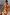 Thumbnail for Yellow Tort Wiggle Arm Sunglasses