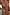 Thumbnail for Abstract Ruched Bikini Top
