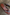 Thumbnail for Denim Sandal Mule