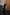 Thumbnail for caption_Model is 5ft3” and wears UK size 6/ US 2 