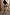 Thumbnail for caption_Model is 5ft4” and wears UK size 6/ US 2