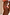 Thumbnail for Orange Sun Tie Side Bikini Brief