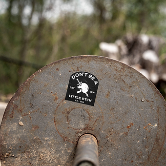 Don't Be A Little Btch Decal