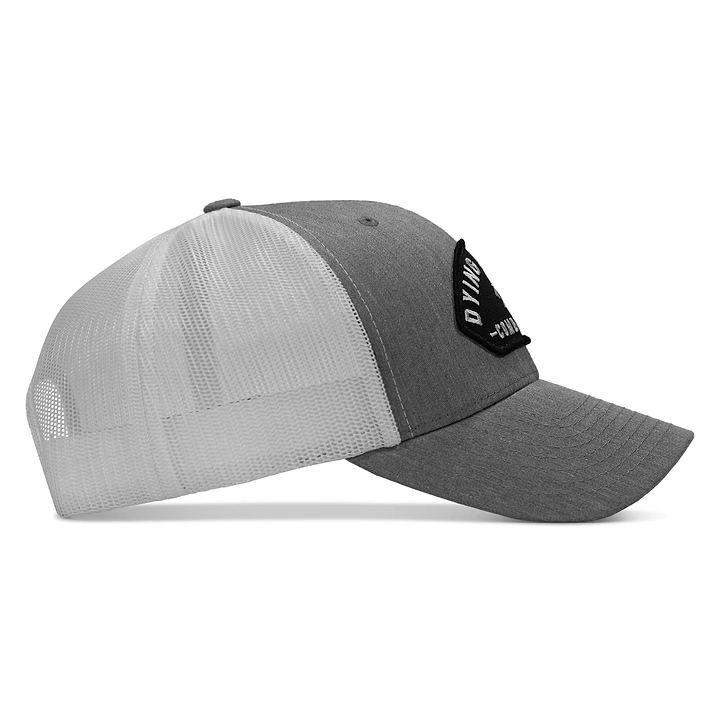 #color_gray-white