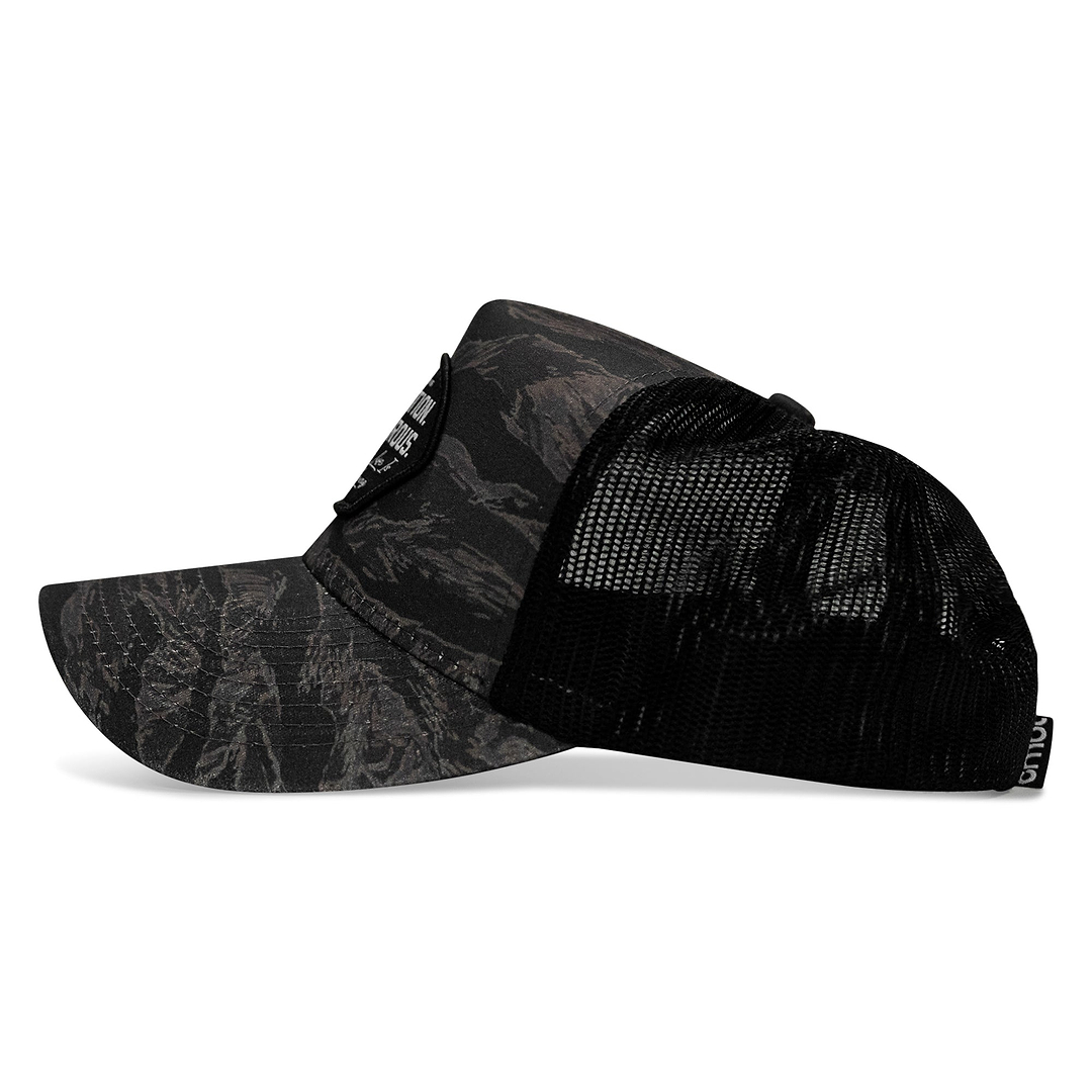 #color_nightfall-tiger-stripe-camo