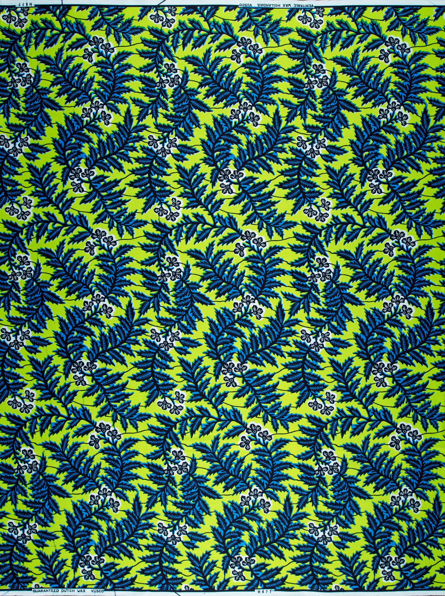Wax Hollandais | VL0H877.009