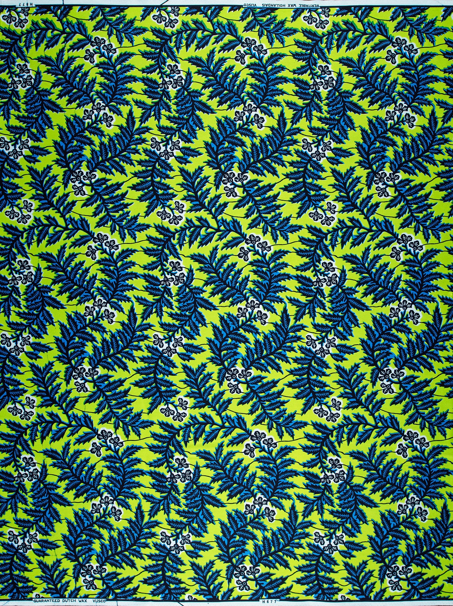 Wax Hollandais | VL0H877.009