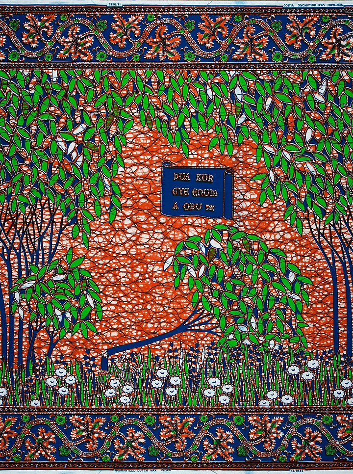 Wax Hollandais | VL00562.123 | Fallen tree