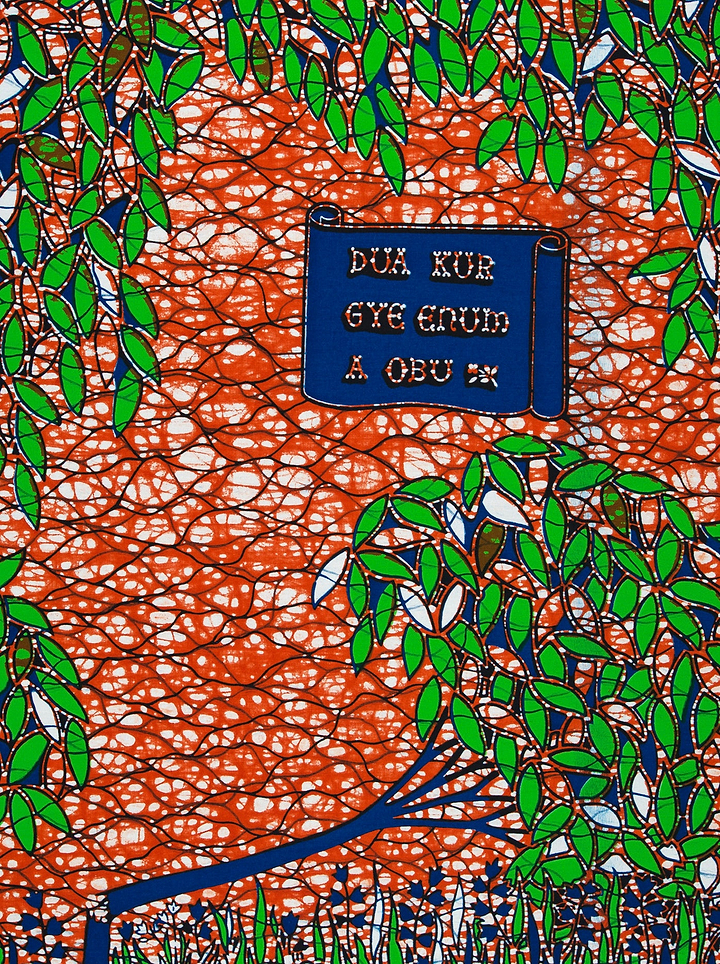 Wax Hollandais | VL00562.123 | Fallen tree