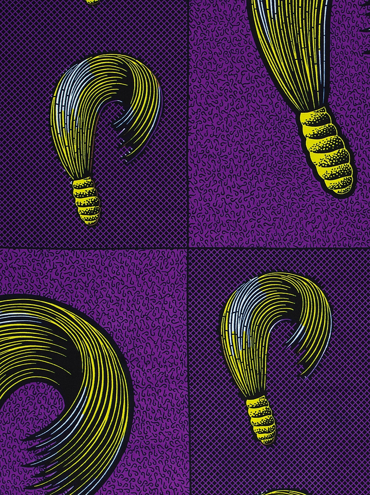 Wax Hollandais | VL00815.158 | Broom