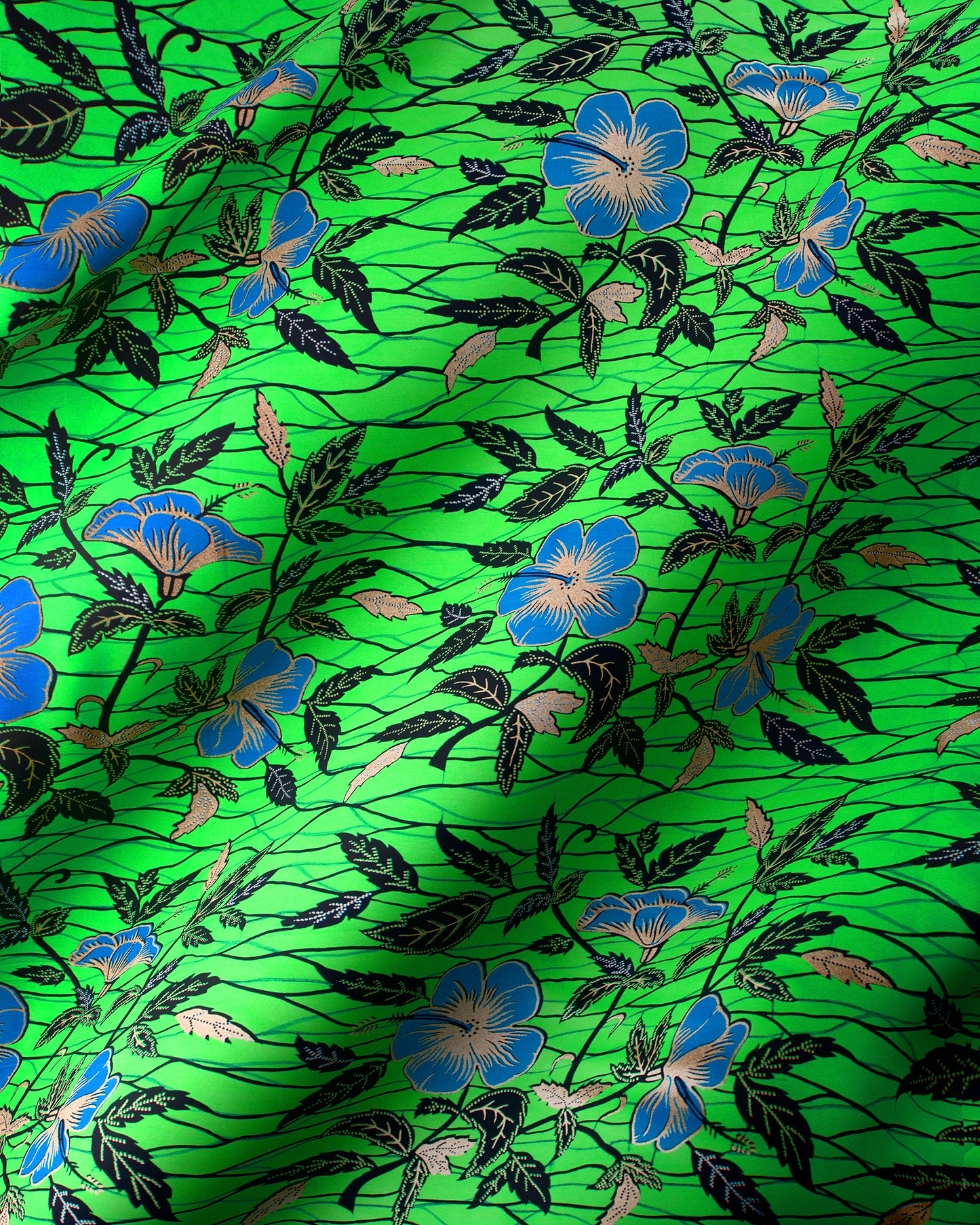 Wax Hollandais | VL00921.281 | Rose Gold Embellished