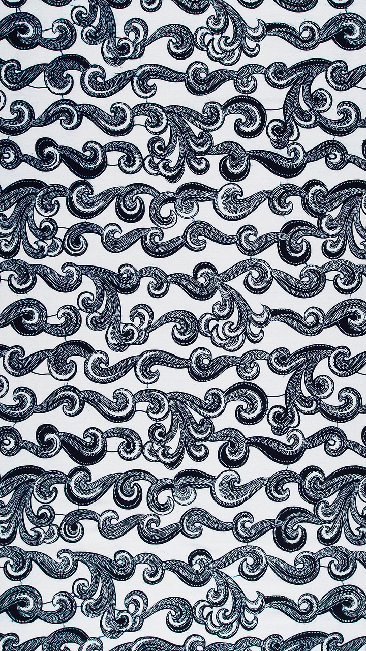 Wax Poplin | VL01474.093 | Secret