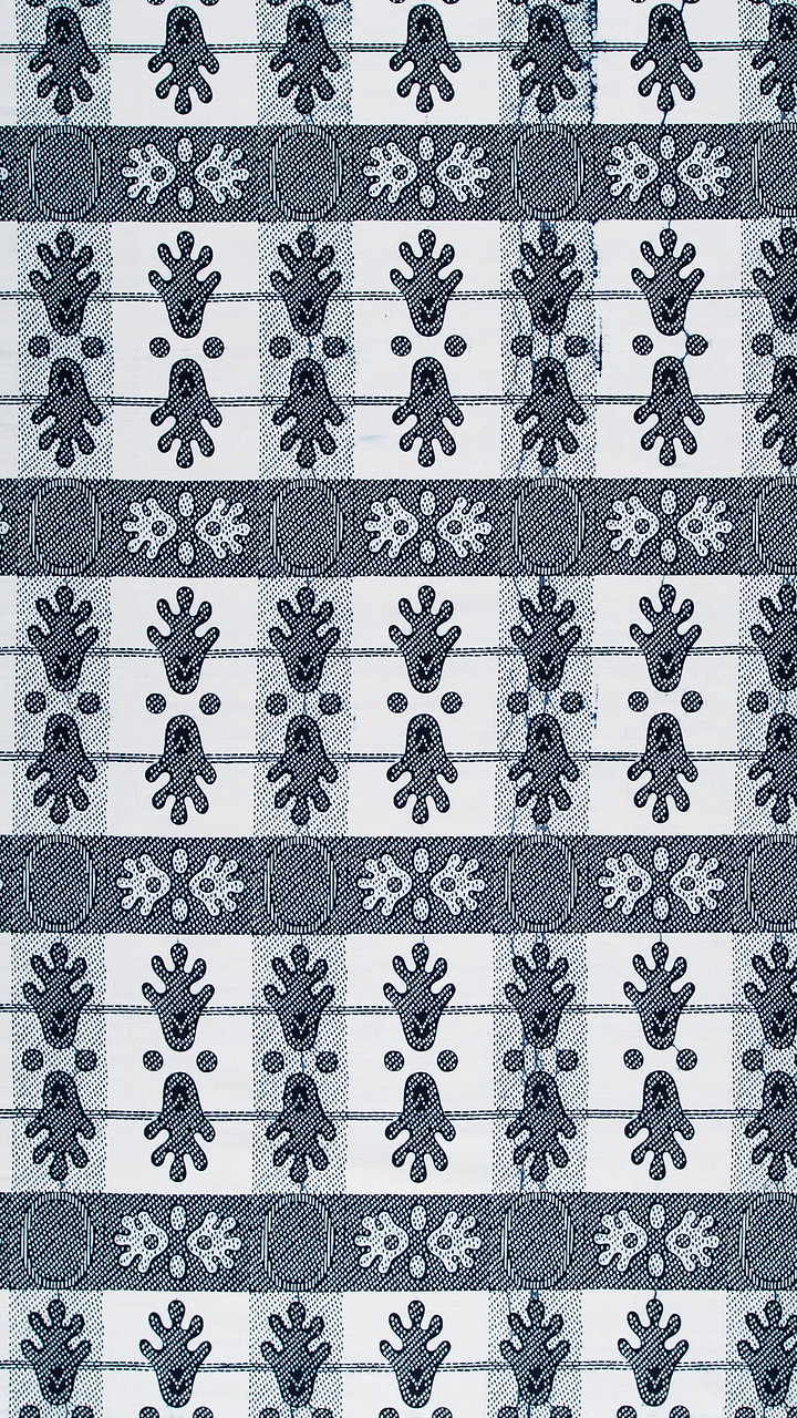 Wax Poplin | VL02074.165