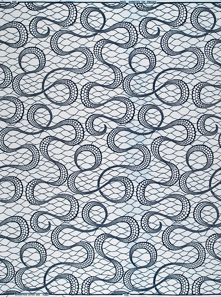 Wax Poplin | VL02946.161 | Only God