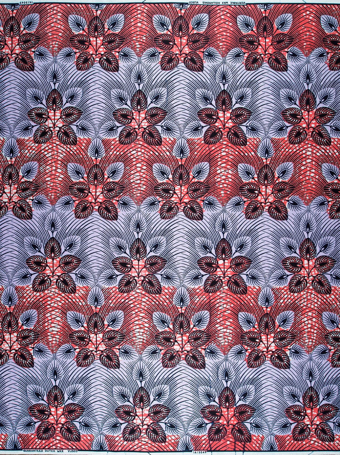 Wax Hollandais | VL03049.018