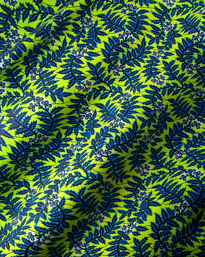 Wax Hollandais | VL0H877.009