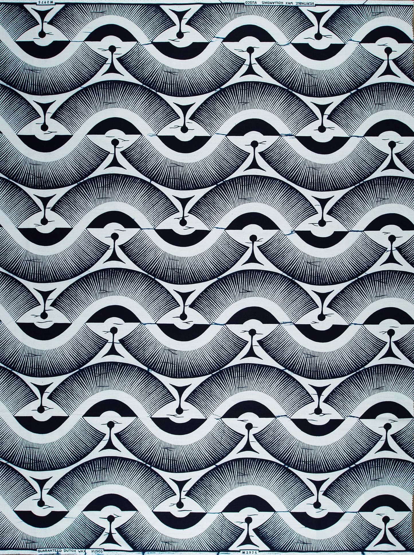 Wax Poplin | VLW2975.013