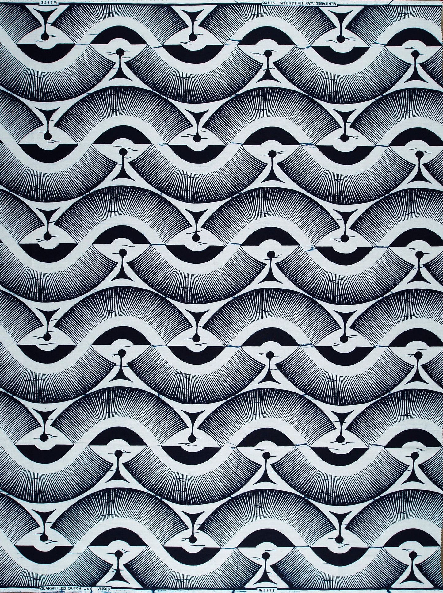 Wax Poplin | VLW2975.013