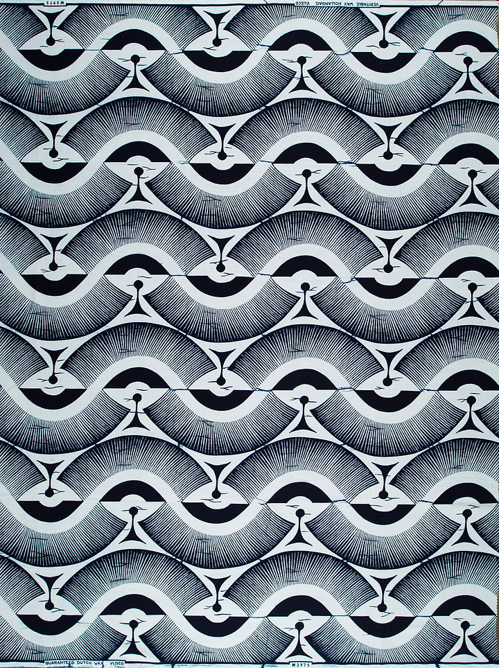 Wax Poplin | VLW2975.013