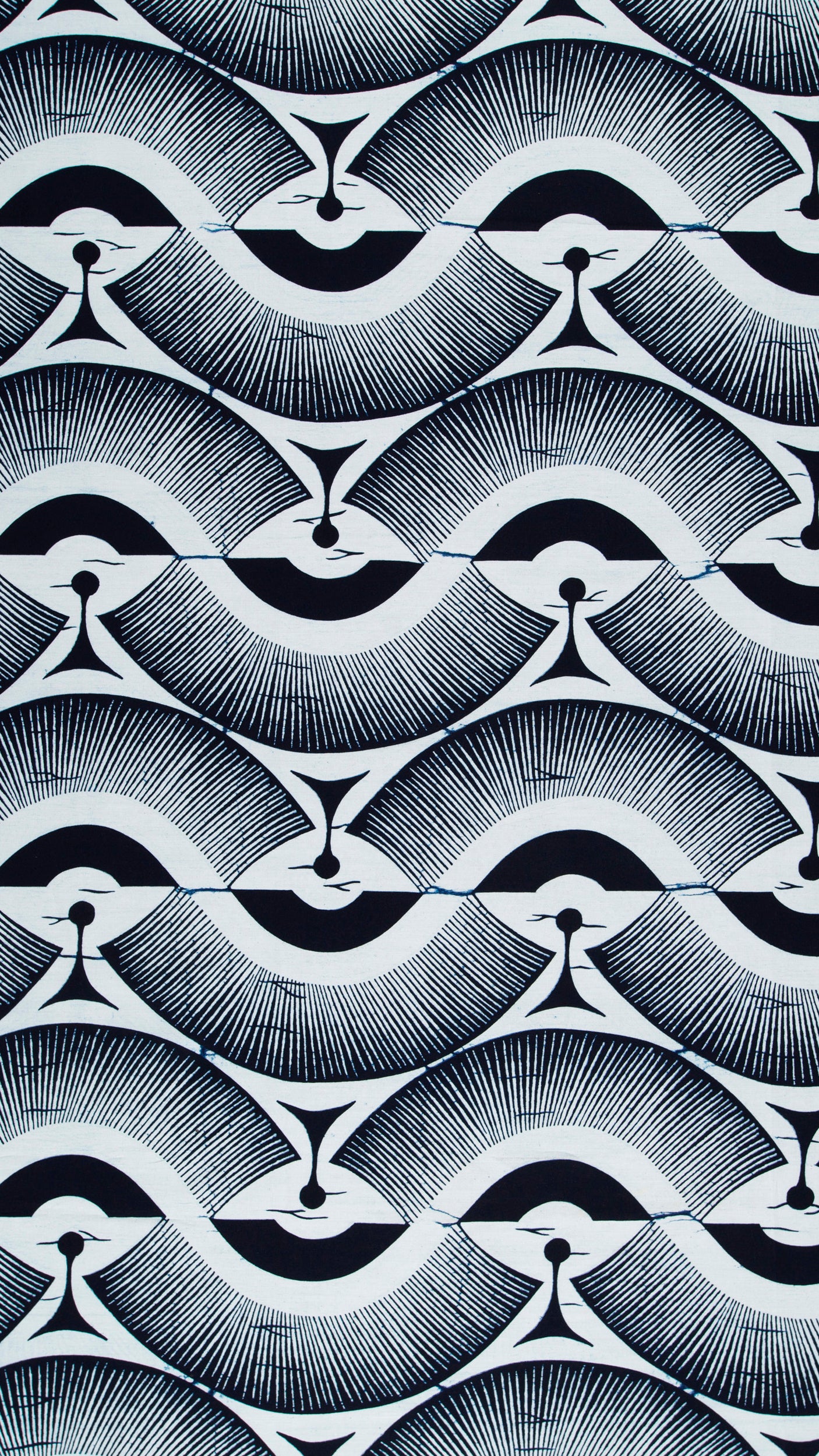 Wax Poplin | VLW2975.013