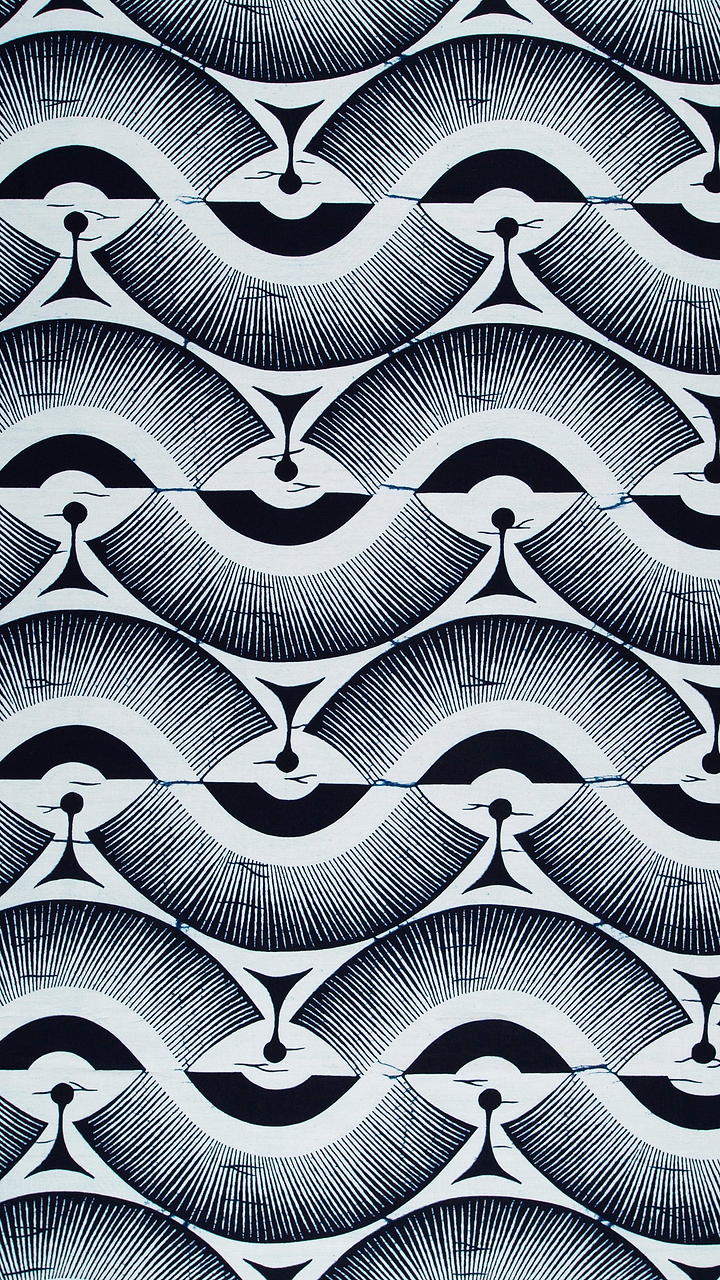 Wax Poplin | VLW2975.013